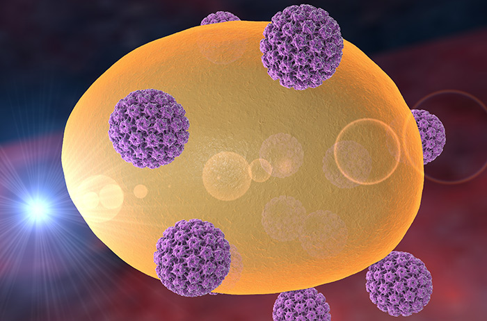 7 HPV in lila umkreisen einen gelben Zellkern, um in diesen einzudringen.